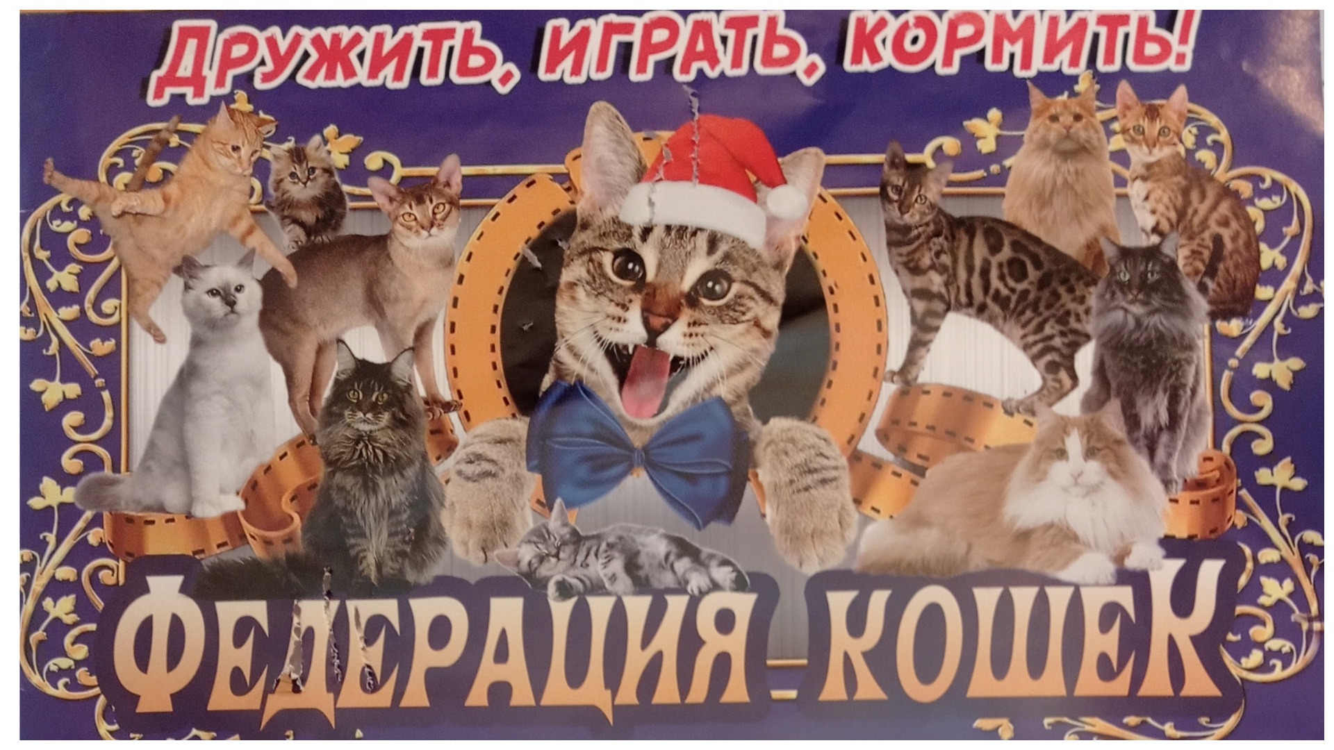 Выставка животных в ТЦ "Ясень" Иваново.