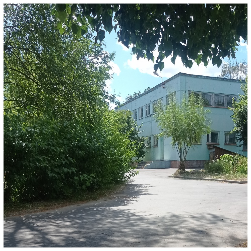 Дошкольное образовательное учреждение детский сад 196 Иваново.