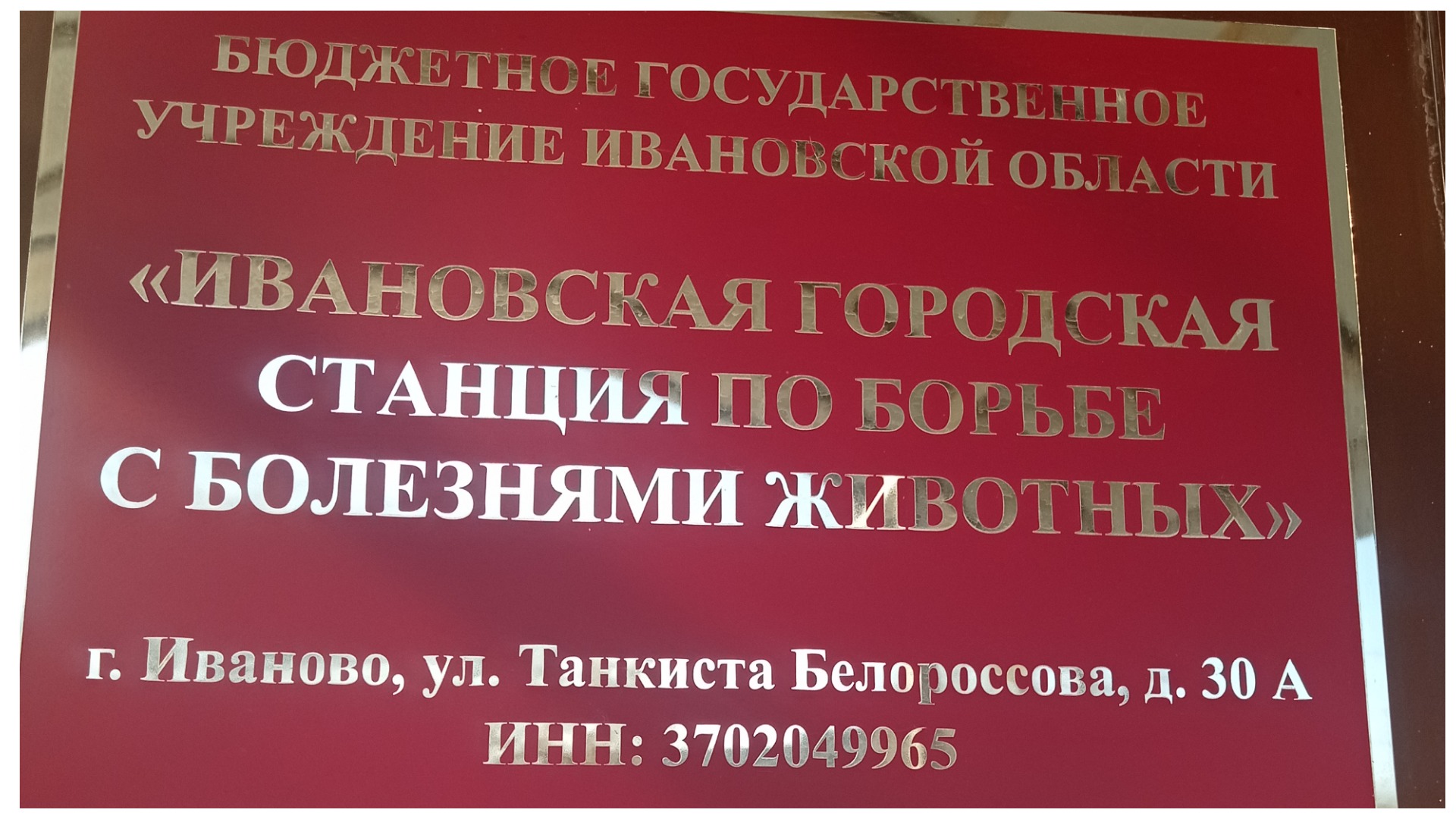 Ветеринарная клиника на Белороссова, Иваново.