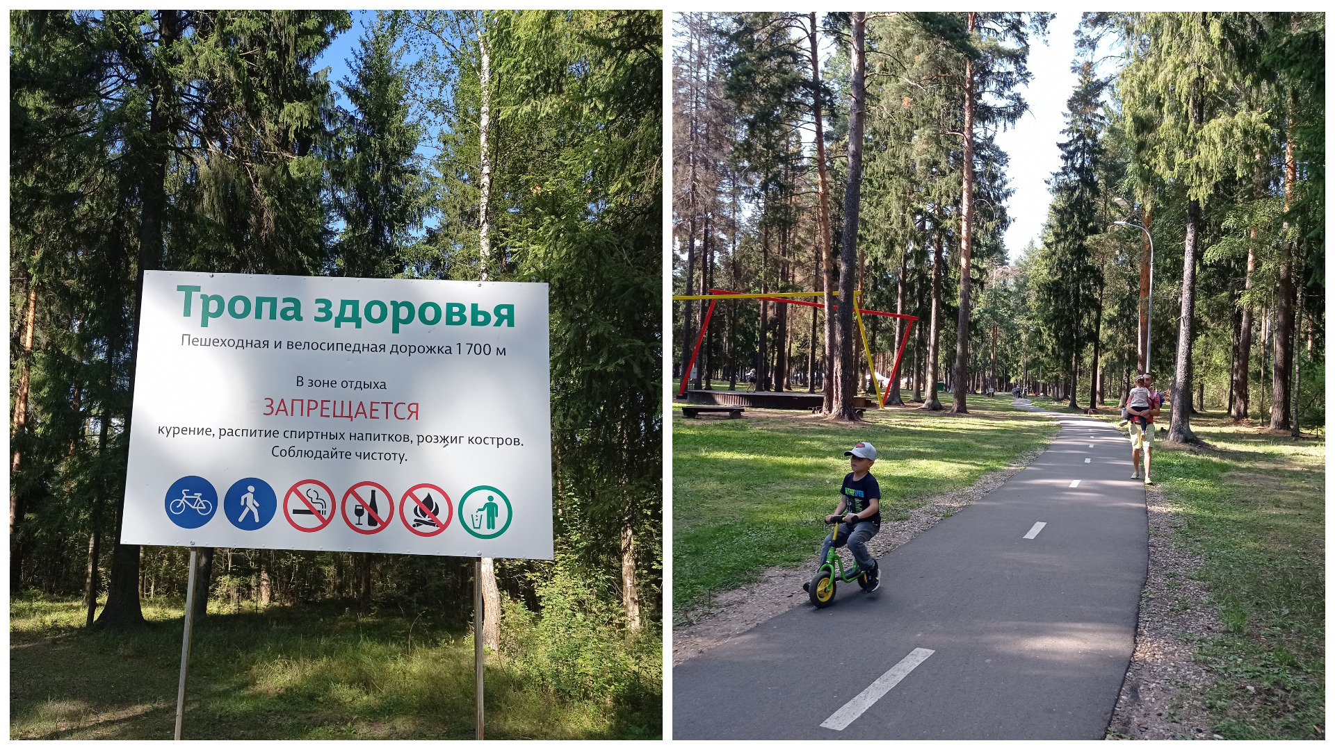 Спортивные дорожки находятся на всей территории парка "Харинка".